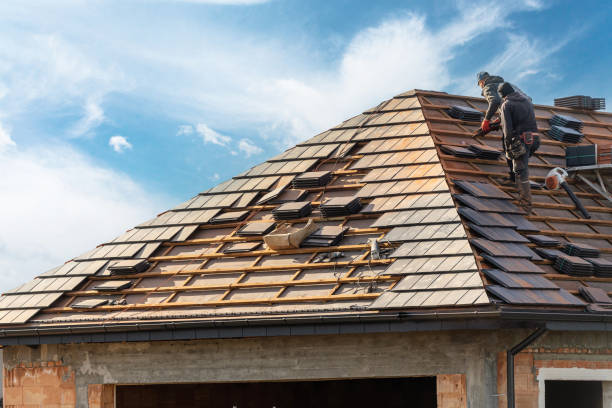 Best Asphalt Shingle Roofing  in Hutchinson Island South, FL
